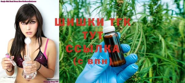 шишки Няндома