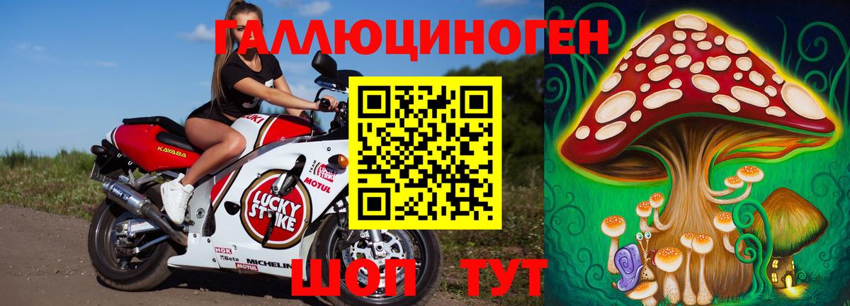 Псилоцибиновые грибы мицелий Шахты